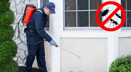 Çankırı Bit İlaçlama böcek ilaçlama ve haşere kontrolü — ilaclama-tr.com